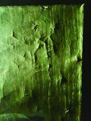 Негритянкив подмосковной роще