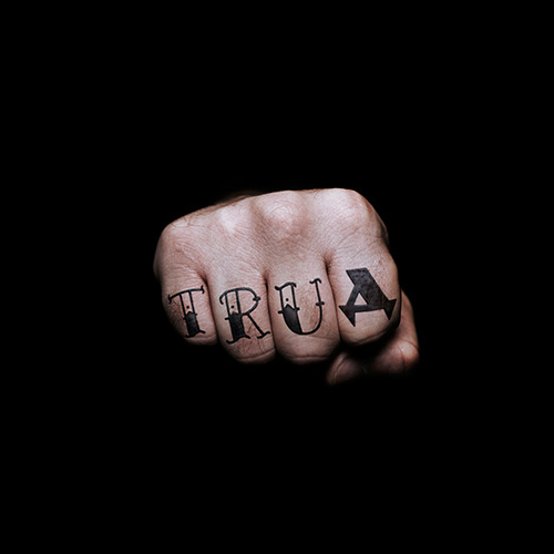 Владимир Абих, TRUД, 2017