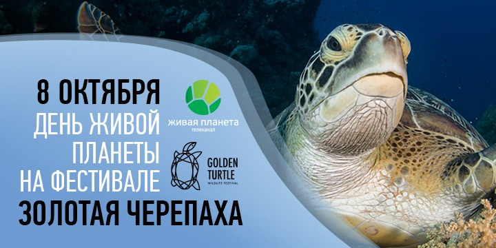 В Новой Третьяковке пройдёт День Живой Планеты